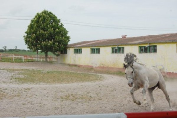 Locuinţa îngrijitorilor de cai de la Mangalia, în flăcări